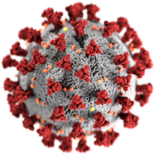 The Video Games Industry on Coronavirus Covid-19
