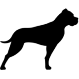 GP Bullhound